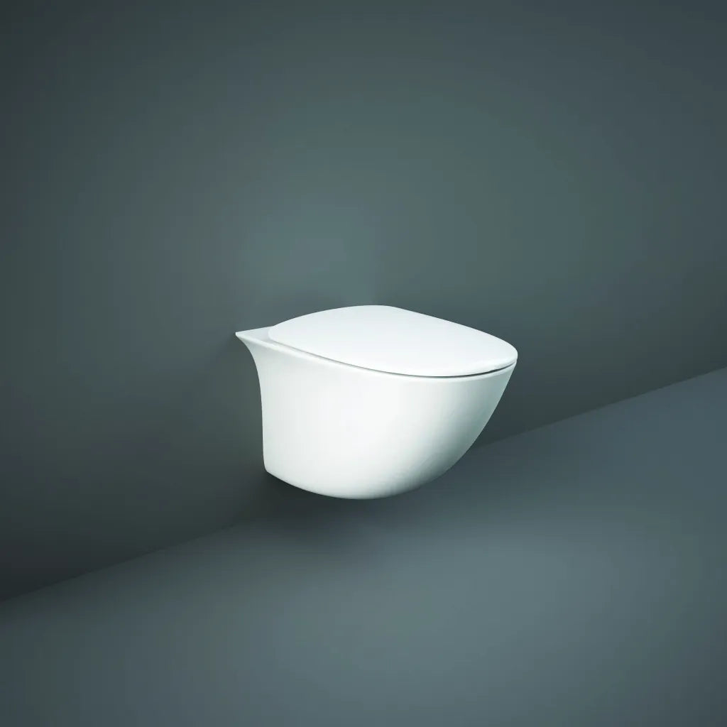 Sensation Wall Hung Pan