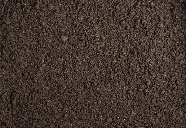 TOP SOIL