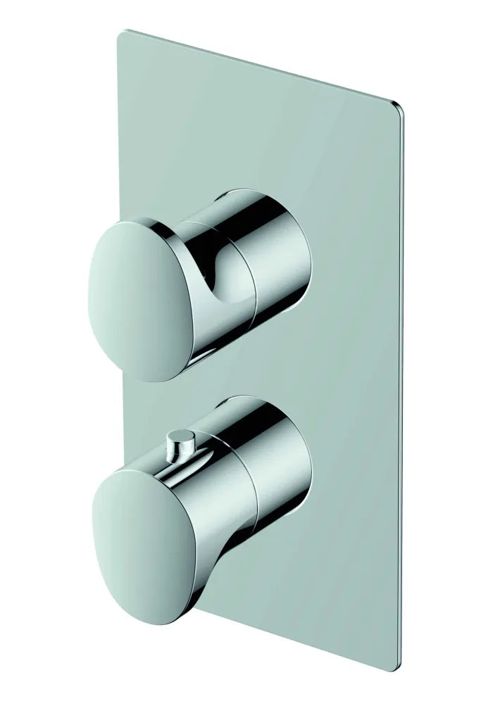 Thermostatic Concealed Valve  Dual Outlet