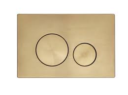 Circles Flush Plate